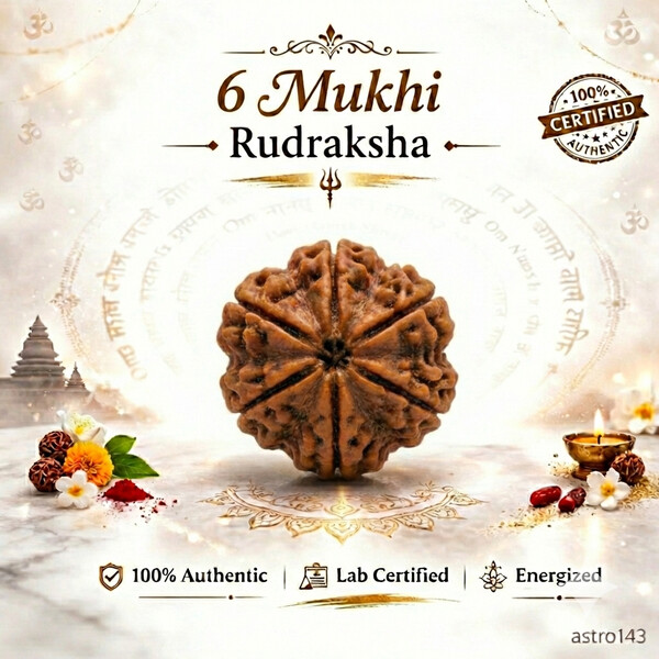 6 Mukhi Rudraksh