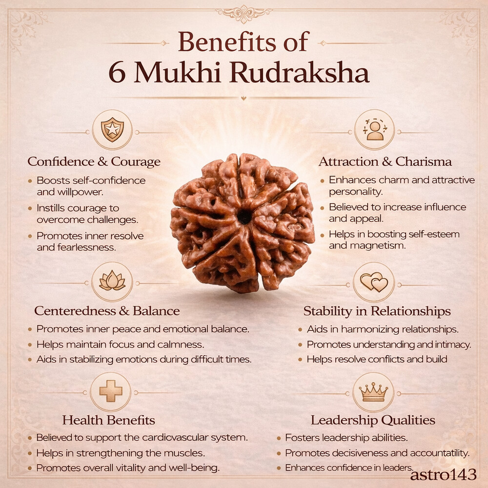 6 Mukhi Rudraksh (Nepali)