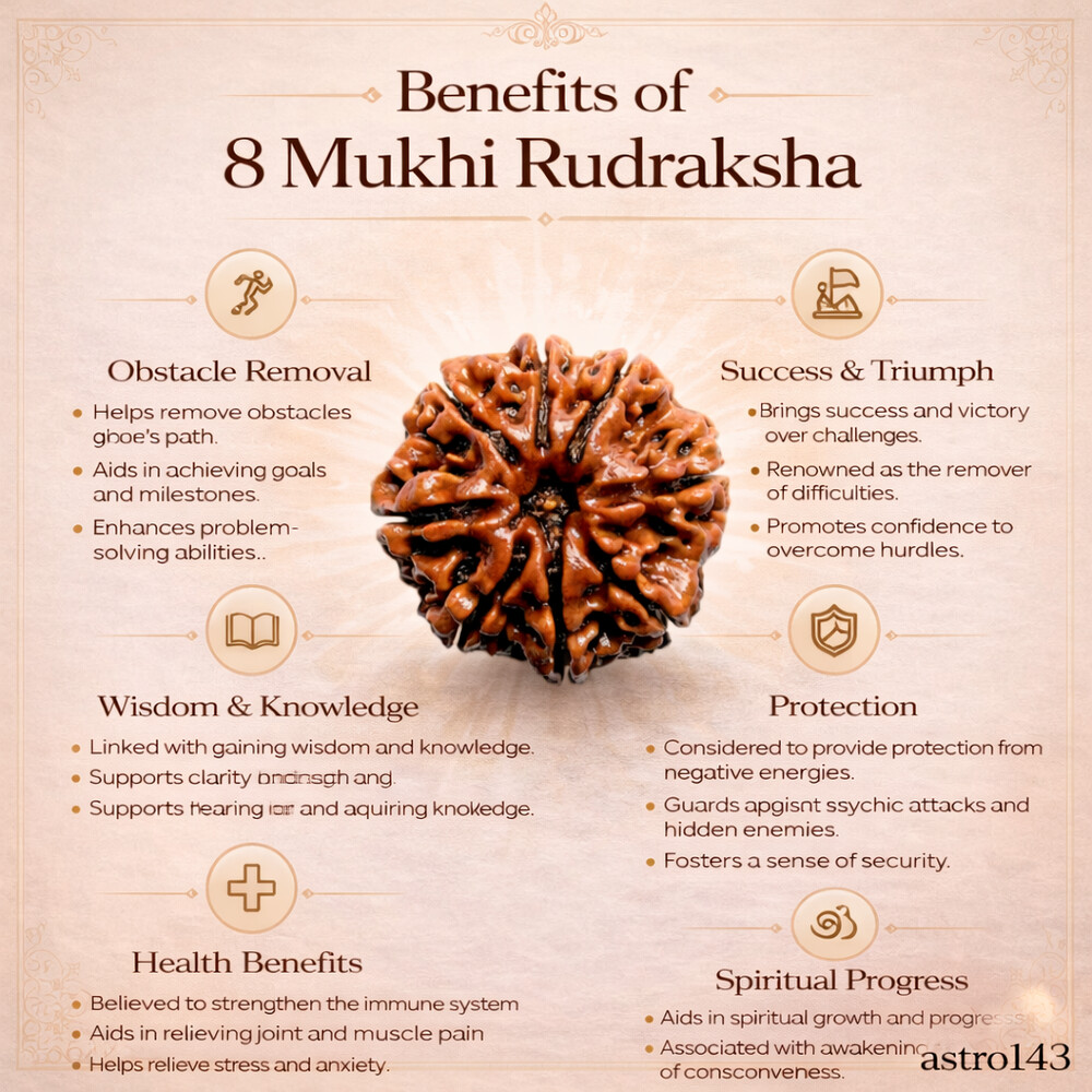 8 Mukhi Rudraksh (Indonesian)