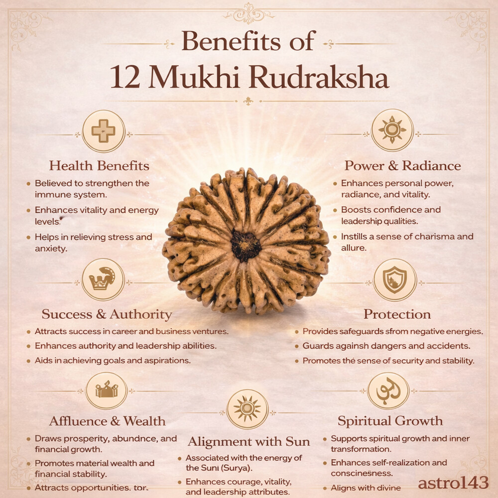 12 Mukhi Rudraksh (Indonesian)