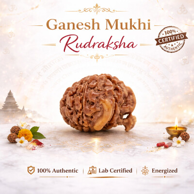 Ganesh Mukhi Rudraksh