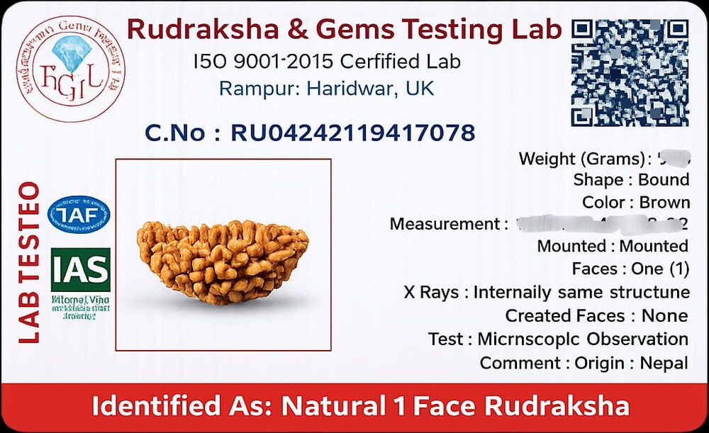 1 Mukhi Rudraksh (South indian)