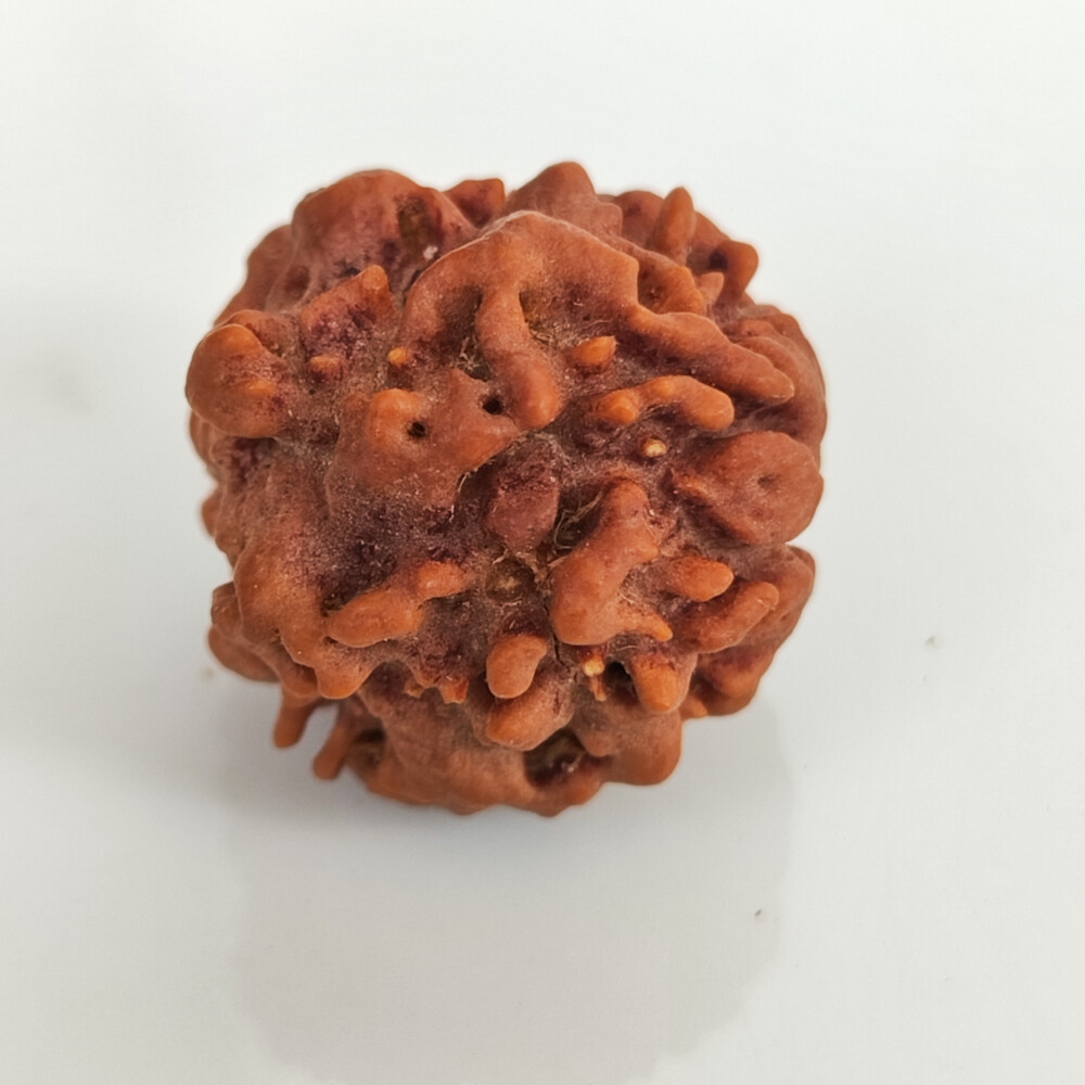 Nirakar Rudraksh (Nepali)