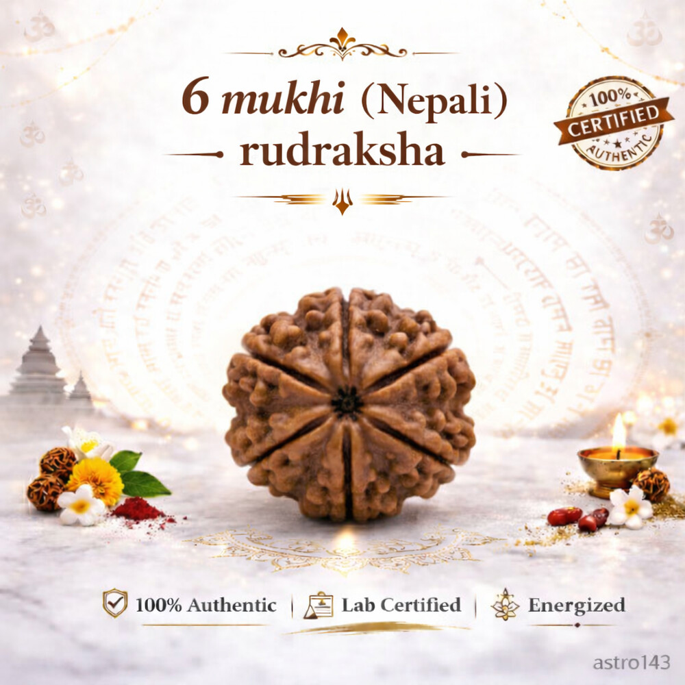 6 Mukhi Rudraksh (Nepali)