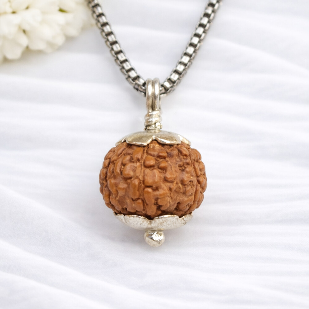 6 Mukhi Rudraksh (Nepali)