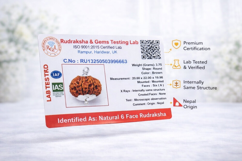 6 Mukhi Rudraksh (Nepali)