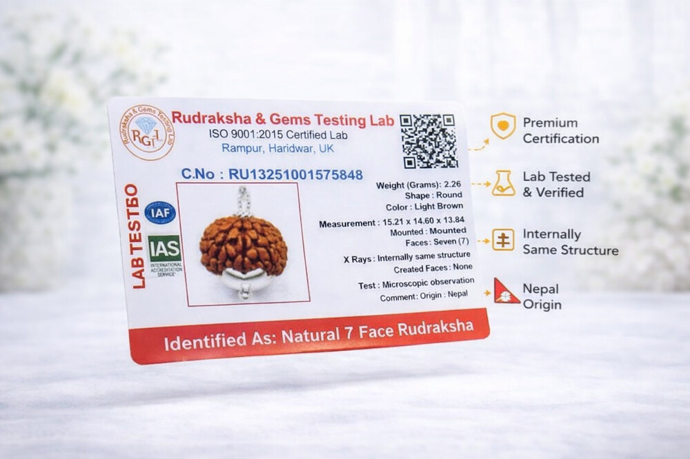 7 Mukhi Rudraksh (Indonesian)