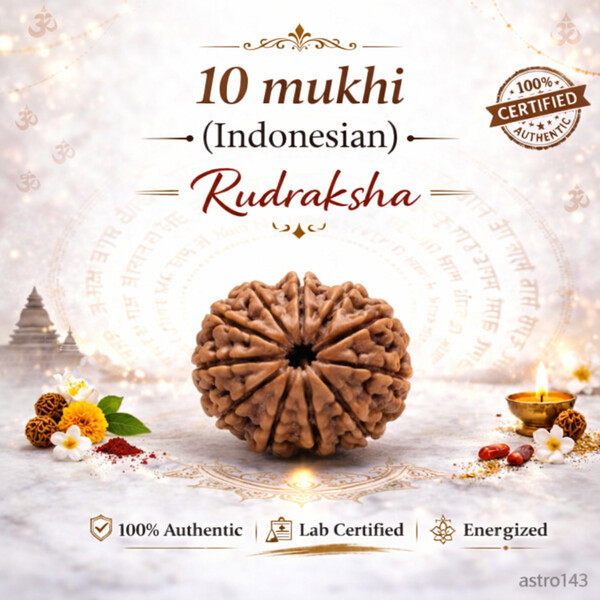 10 Mukhi Rudraksh (Indonesian)