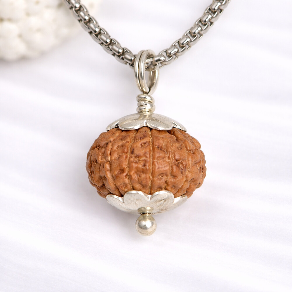 11 Mukhi Rudraksha (Indonesian)
