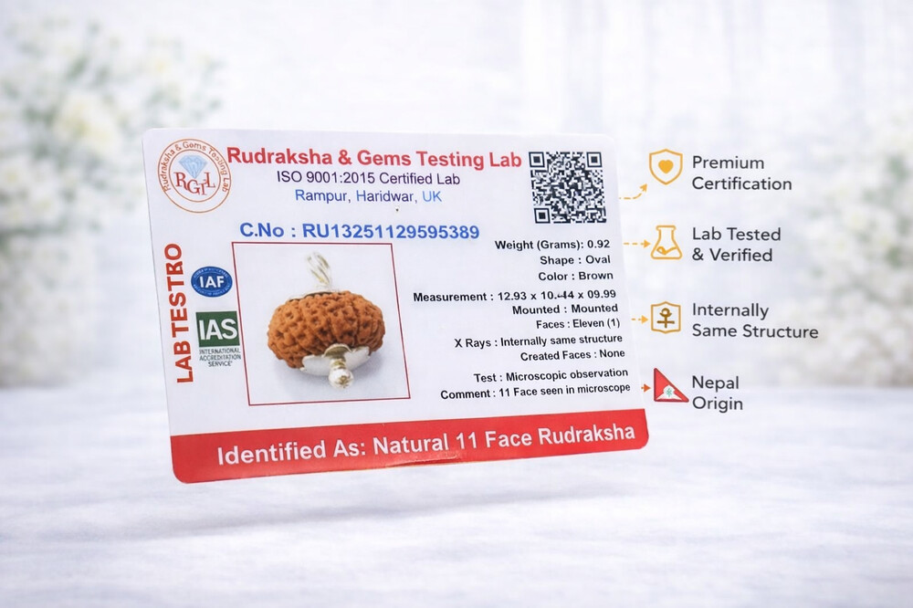 11 Mukhi Rudraksha (Indonesian)