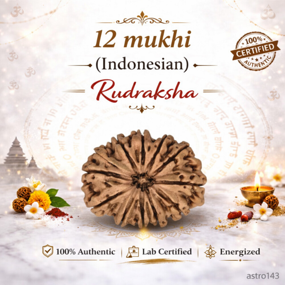 12 Mukhi Rudraksh (Indonesian)