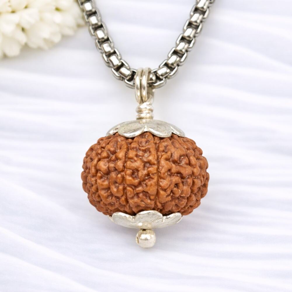 12 Mukhi Rudraksh (Indonesian)