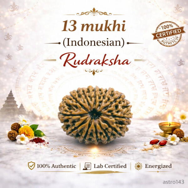 13 Mukhi Rudraksha (Indonesian)