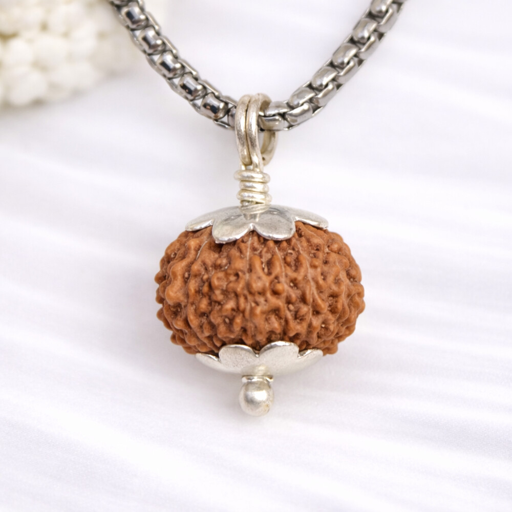 13 Mukhi Rudraksha (Indonesian)