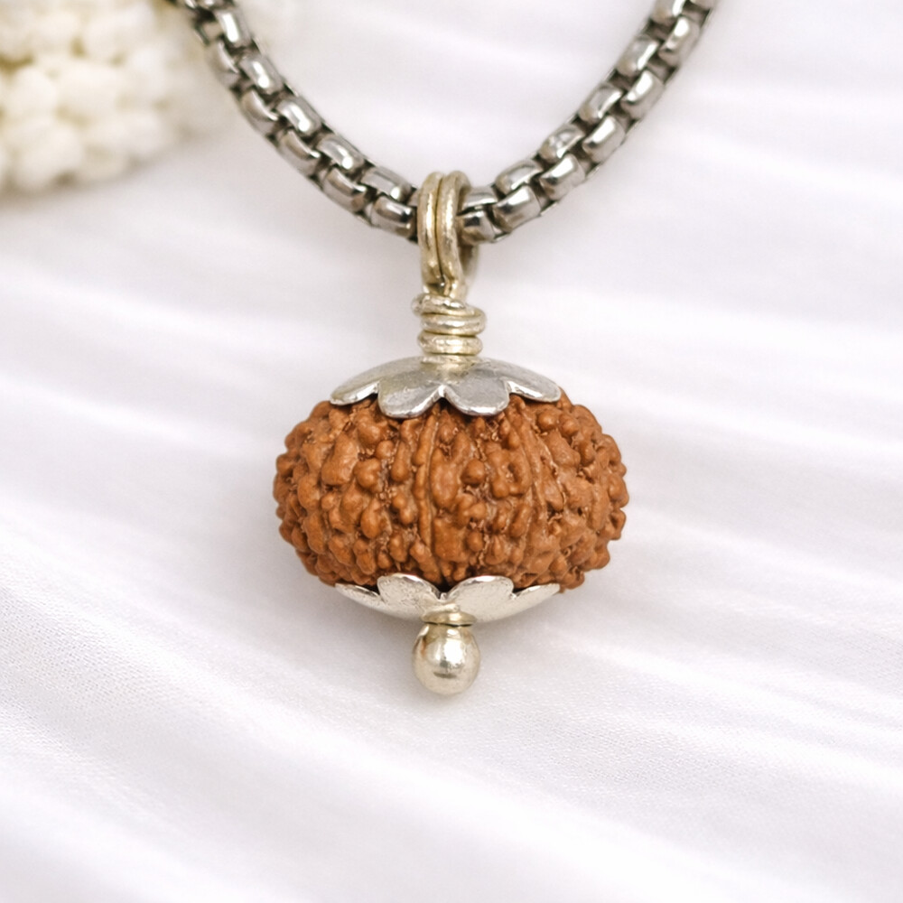 14 Mukhi Rudraksh (Indonesian)