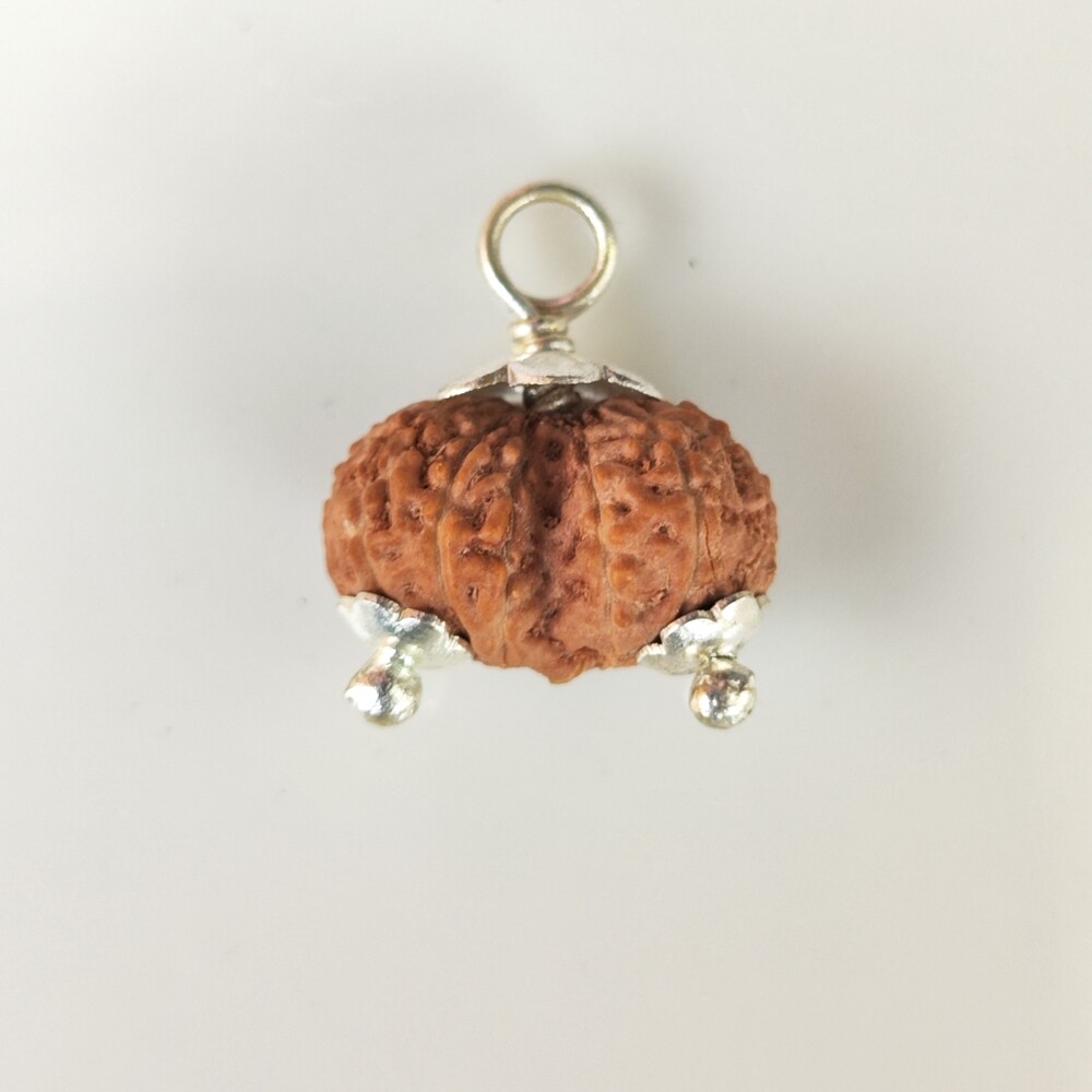 Gauri Shankar Rudraksh (Indonesian)