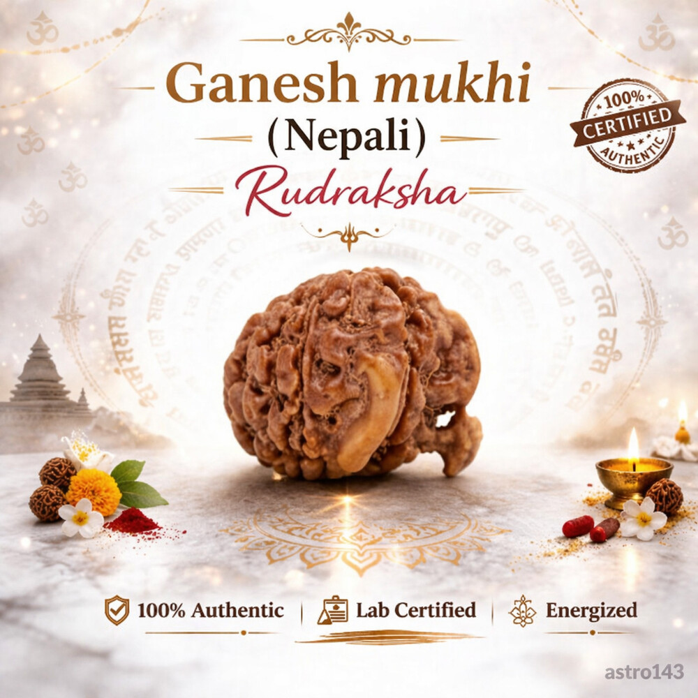 Ganesh Mukhi Rudraksha (Nepali)