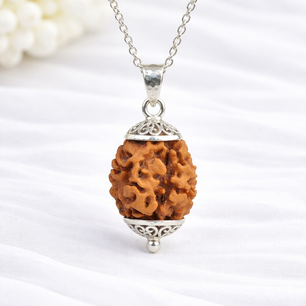 2 Mukhi Rudraksha (Himalayan)