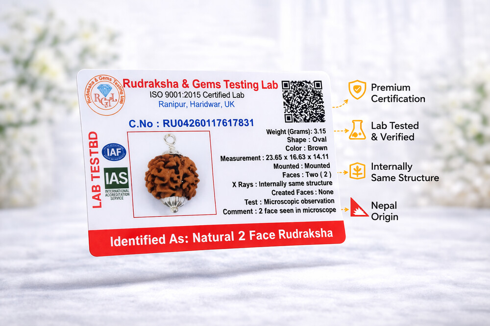 2 Mukhi Rudraksha (Himalayan)