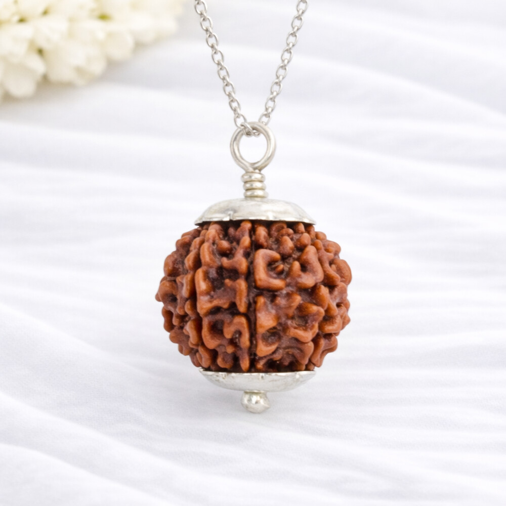 7 Mukhi Rudraksha (Nepali)