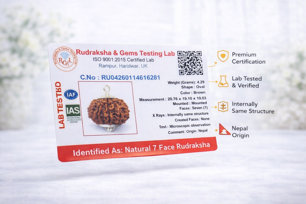7 Mukhi Rudraksha (Nepali)