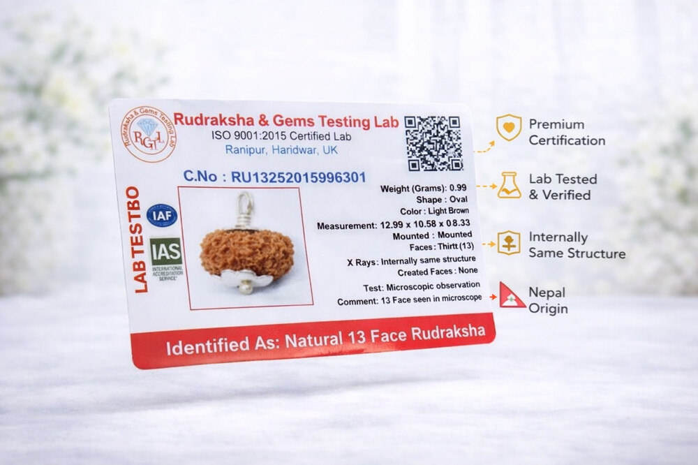 13 Mukhi Rudraksha (Indonesian)
