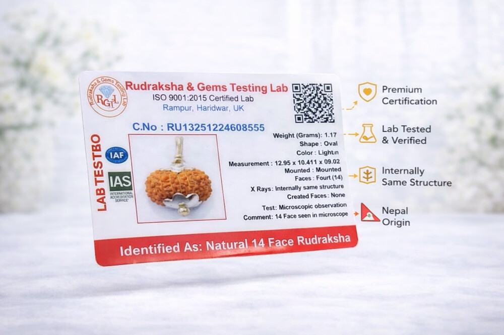 14 Mukhi Rudraksh (Indonesian)