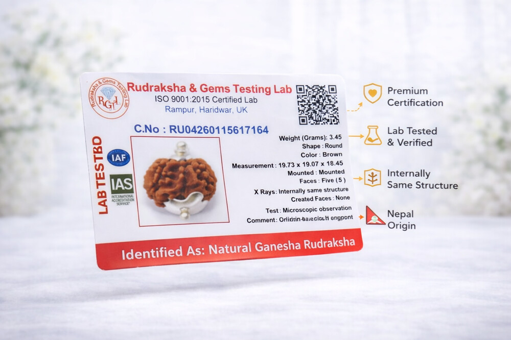 Ganesh Mukhi Rudraksha (Nepali)