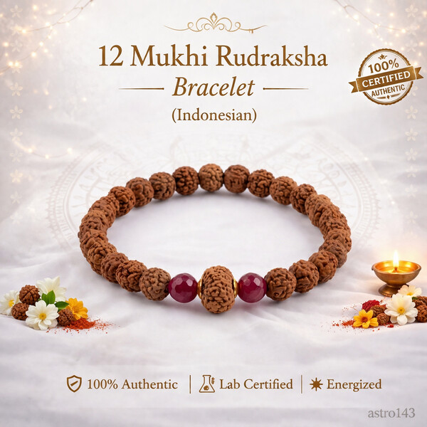 12 Mukhi Rudraksh Bracelet (Indonesian)