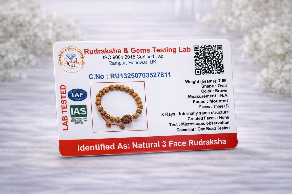 3 Mukhi Rudraksh Bracelet (Himalayan)