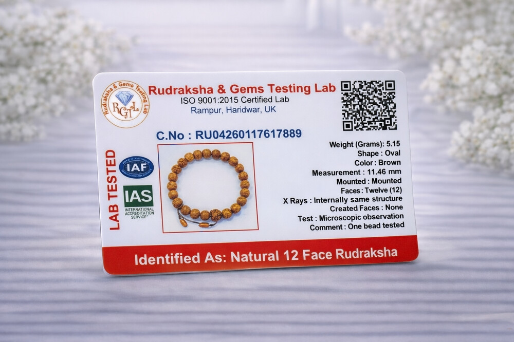 12 Mukhi Rudraksh Bracelet (Indonesian)