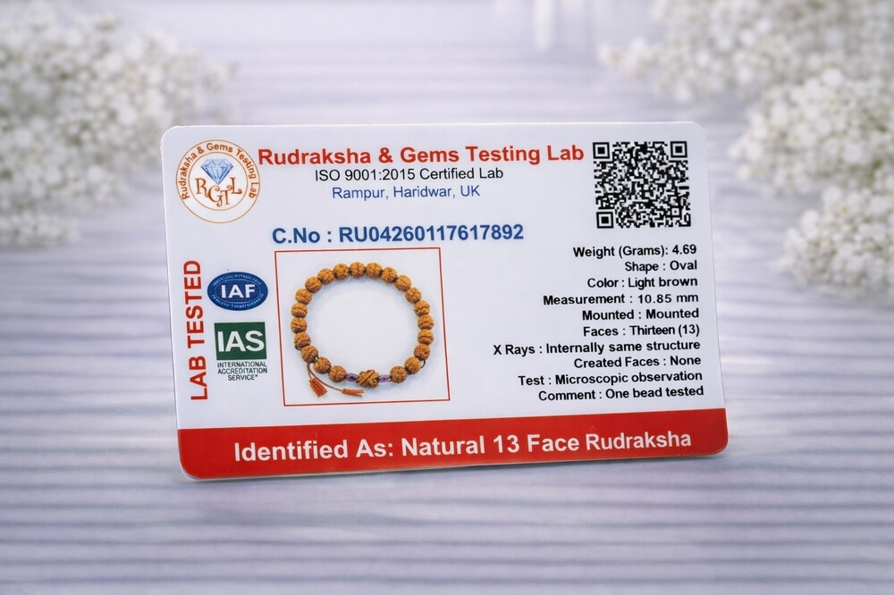 13 Mukhi Rudraksh Bracelet (Indonesian)