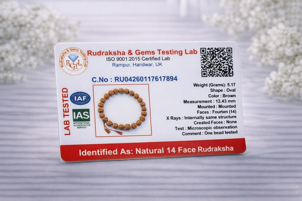 14 Mukhi Rudraksh Bracelet (Indonesian)