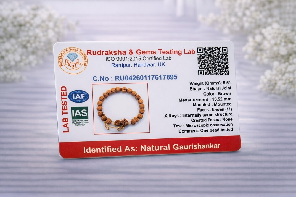 Gauri Shankar Rudraksh Bracelet (Nepali)