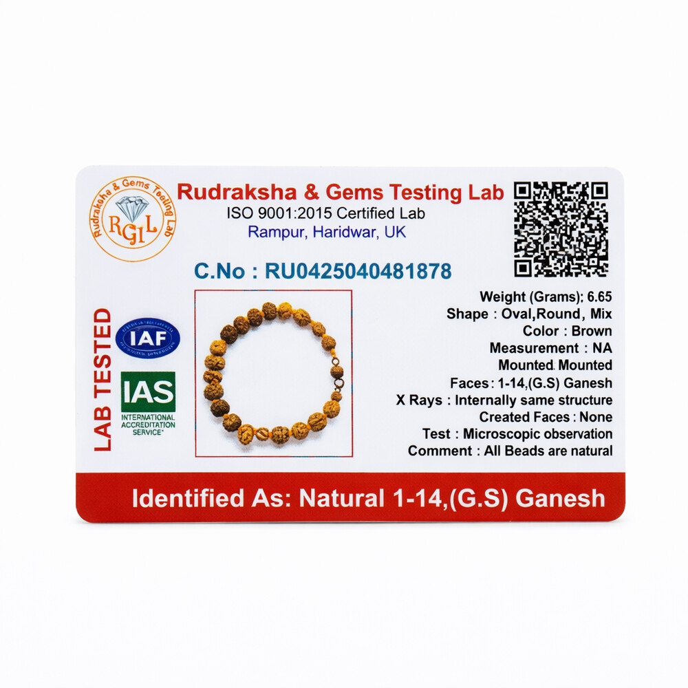 1–14 MUKHI RUDRAKSHA BRACELET (INDONESIA)