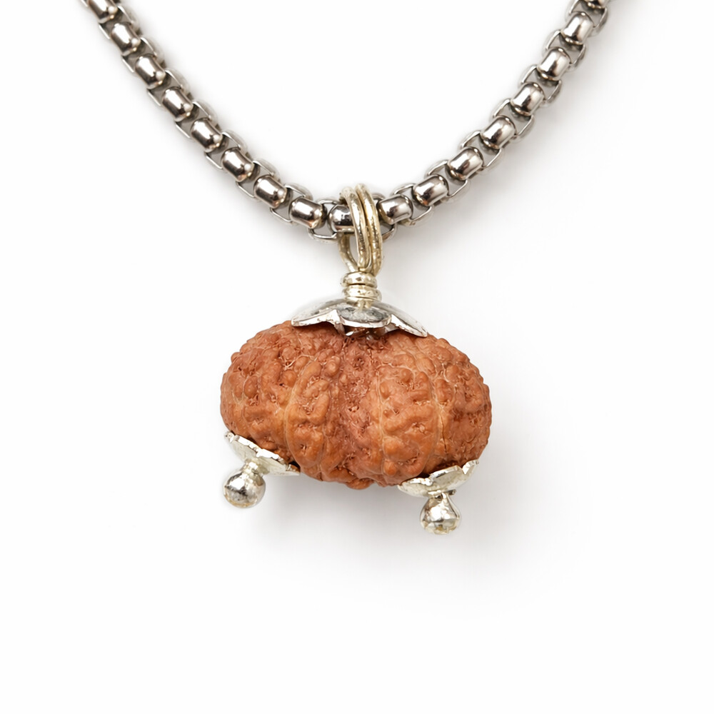 Gauri Shankar Rudraksha (Indonesian)