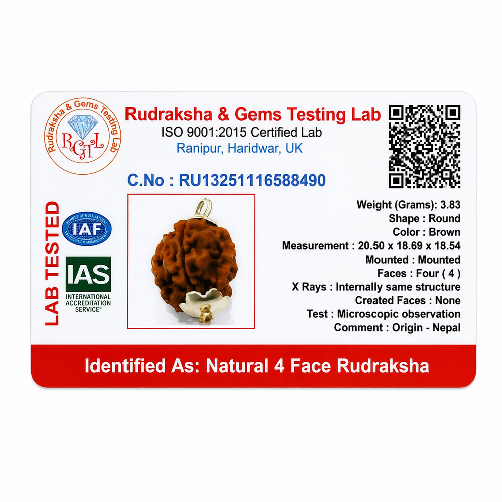 4 Mukhi Rudraksha (Nepali)