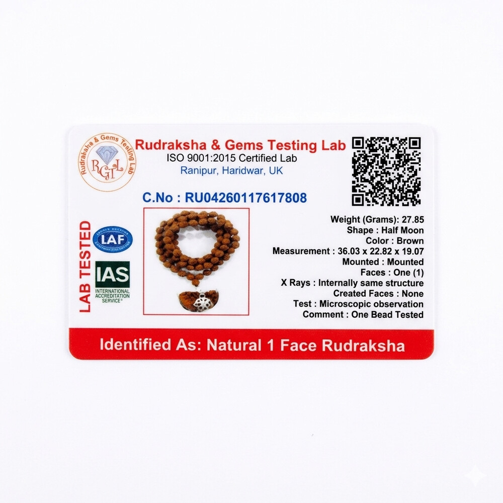 1 Mukhi Rudraksha Mala (South Indian)