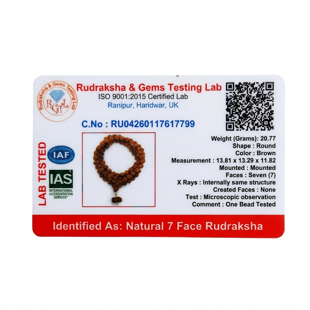 7 Mukhi Rudraksha Mala (Indonesia)