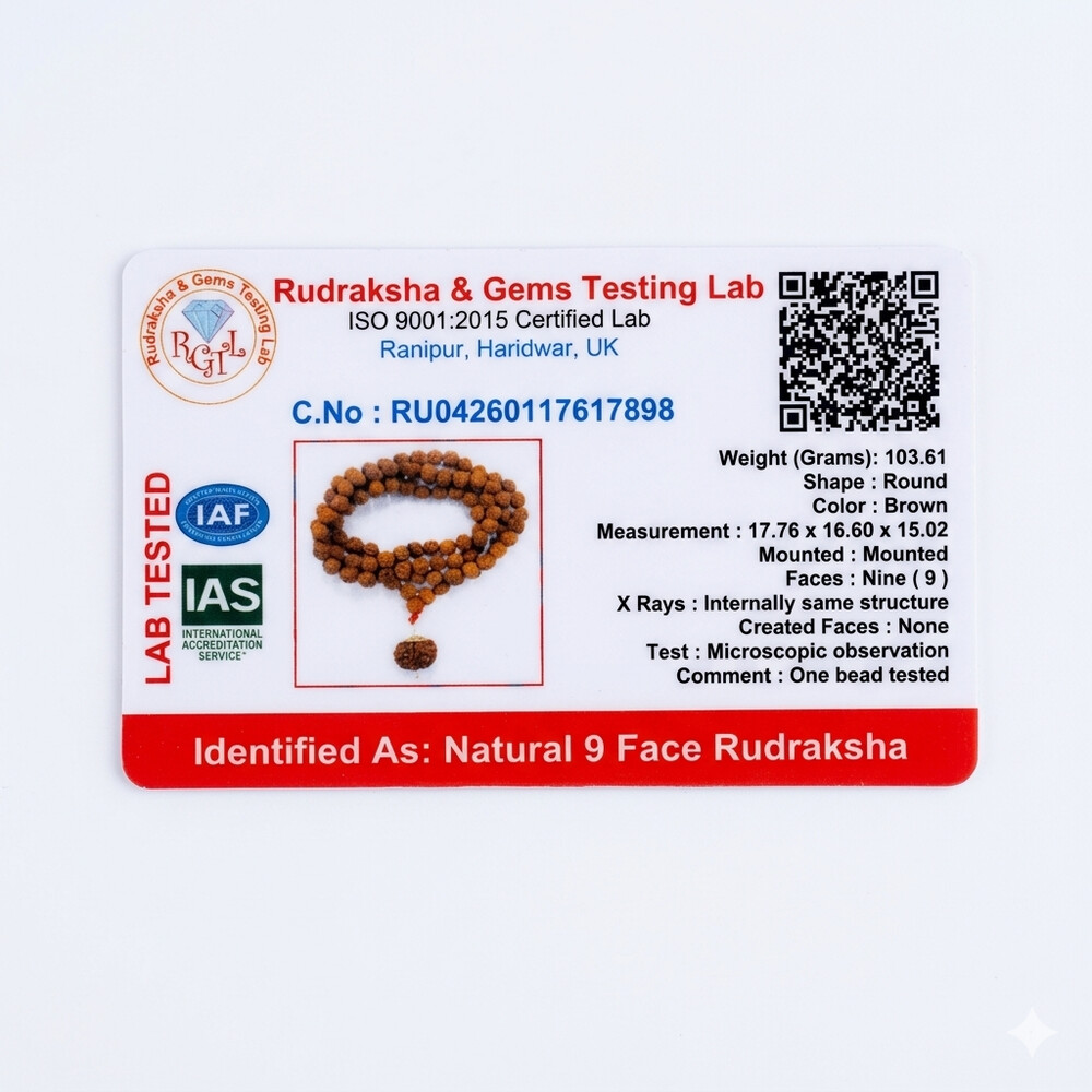 9 Mukhi Rudraksha Mala (Indonesia)