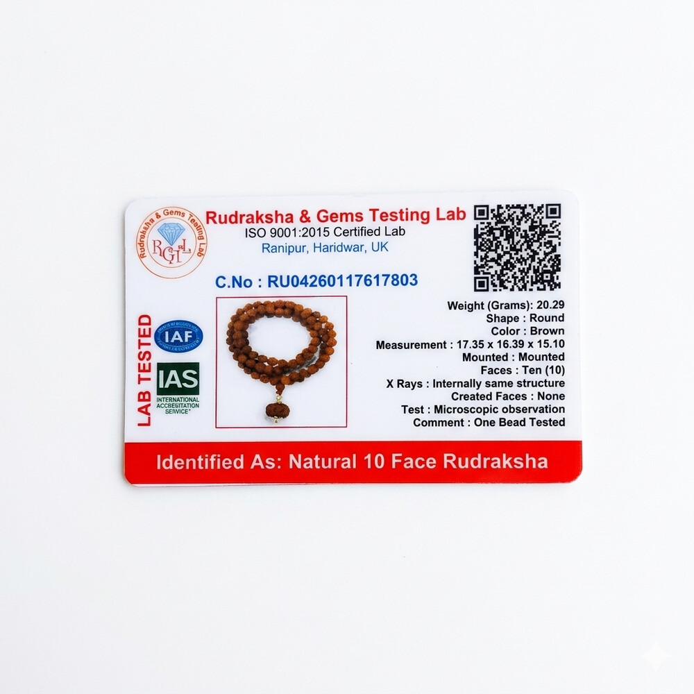 10 Mukhi Rudraksha Mala (Indonesia)