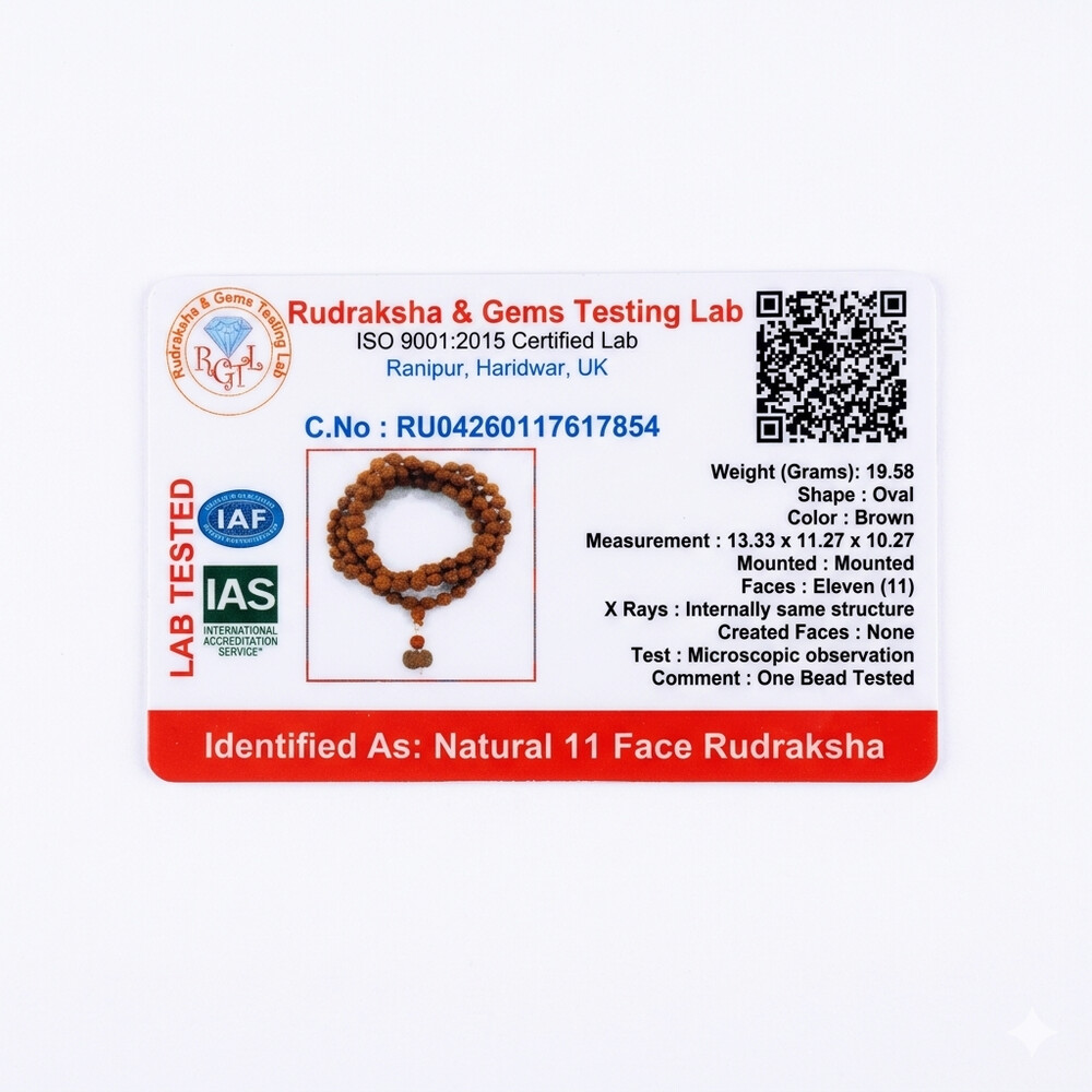 11 Mukhi Rudraksha Mala (Indonesia)