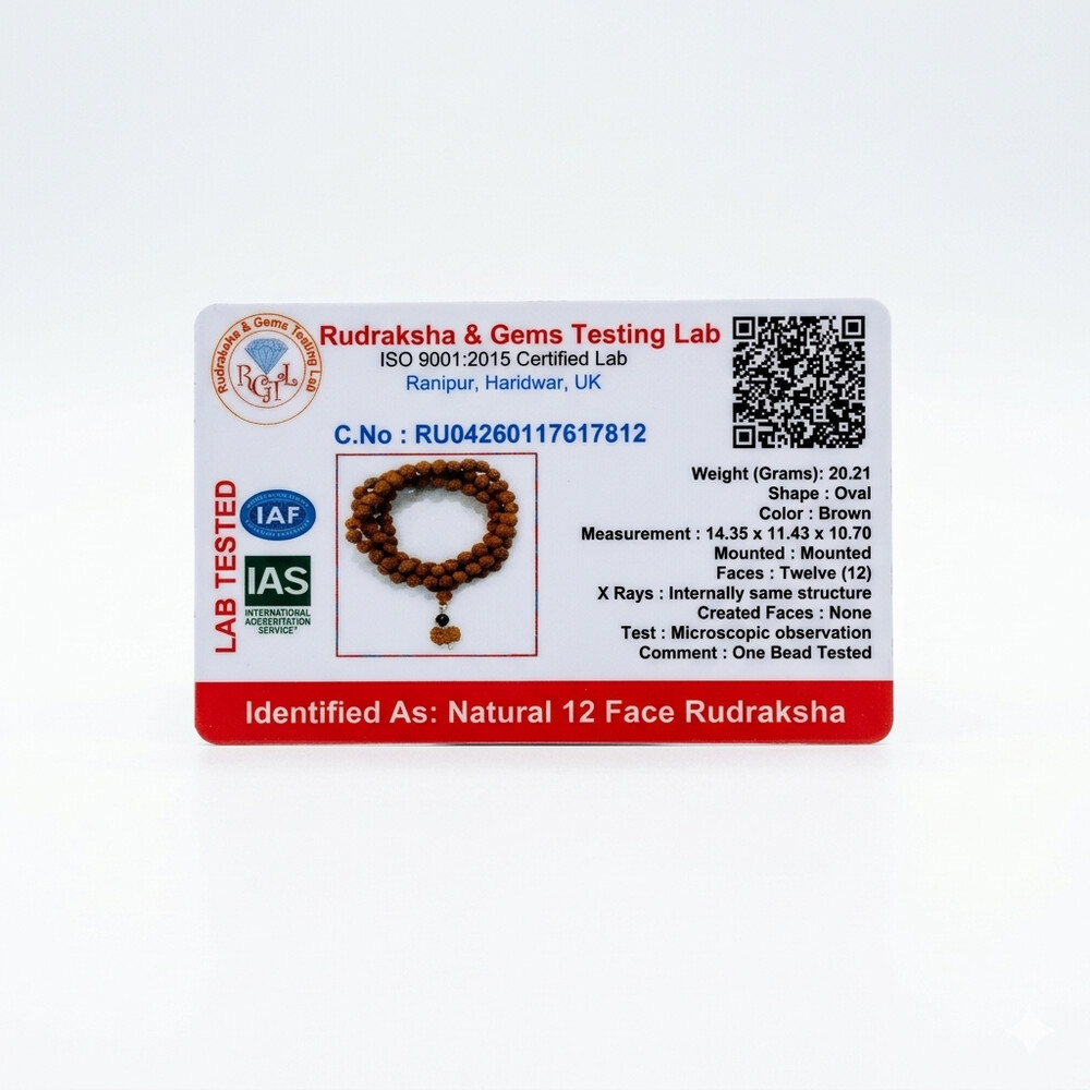 12 Mukhi Rudraksha Mala (Indonesia) 