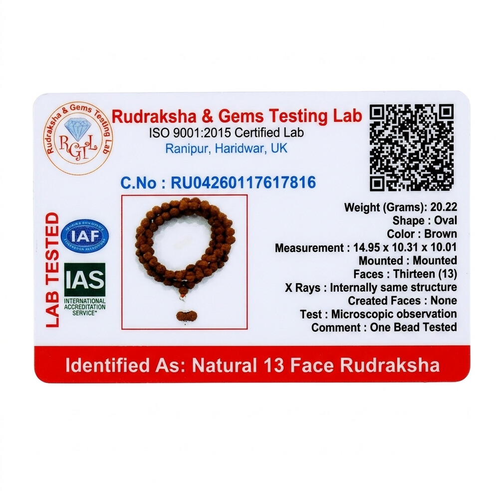 13 Mukhi Rudraksha Mala (Indonesia)