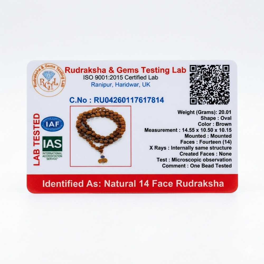 14 Mukhi Rudraksha Mala (Indonesia)