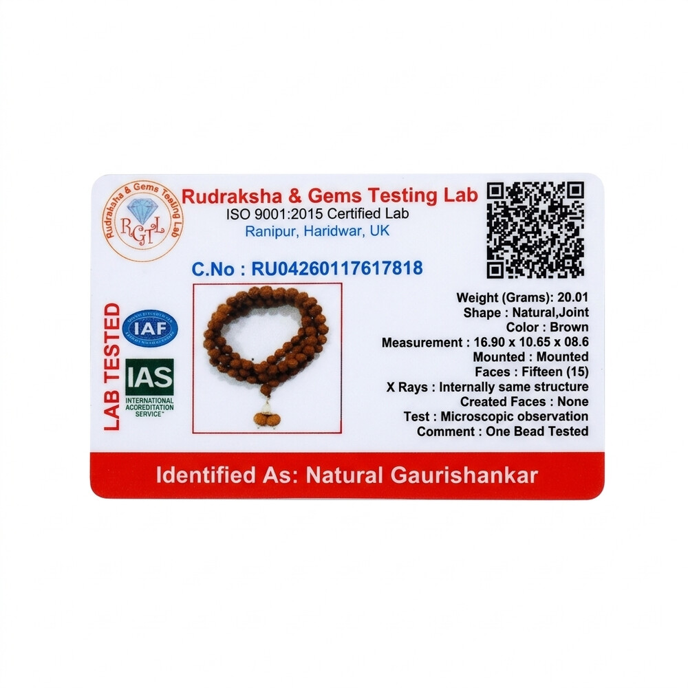 Gauri Shankar Rudraksha Mala (Indonesia)