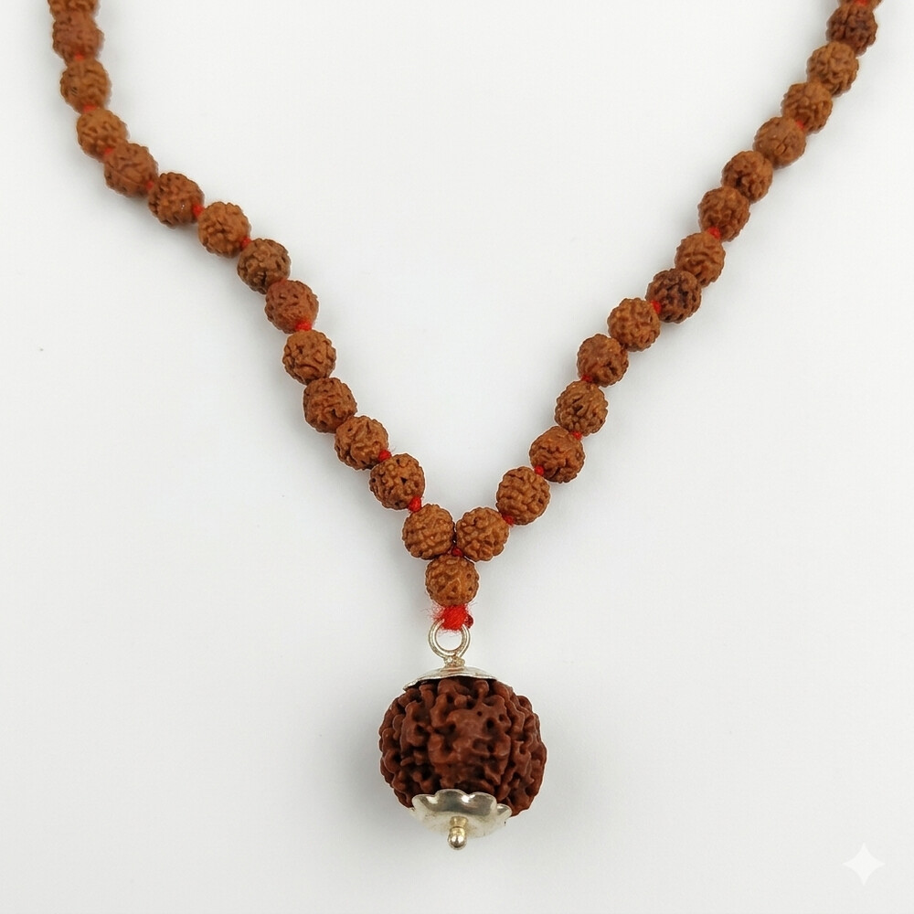 6 Mukhi Rudraksha Mala (Nepali)